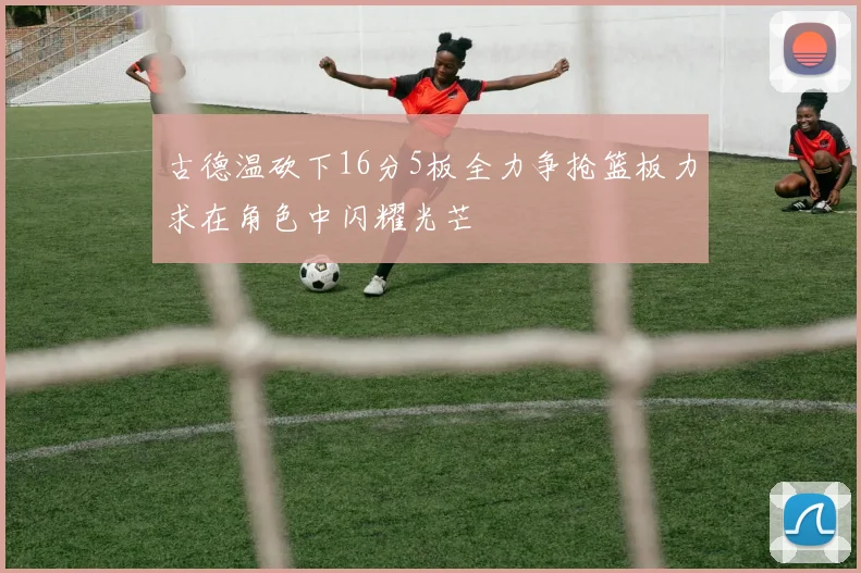 古德温砍下16分5板全力争抢篮板力求在角色中闪耀光芒