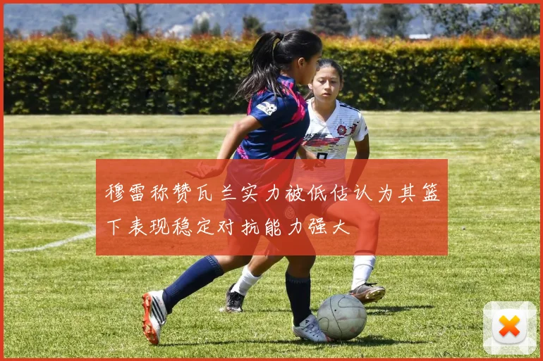 穆雷称赞瓦兰实力被低估认为其篮下表现稳定对抗能力强大